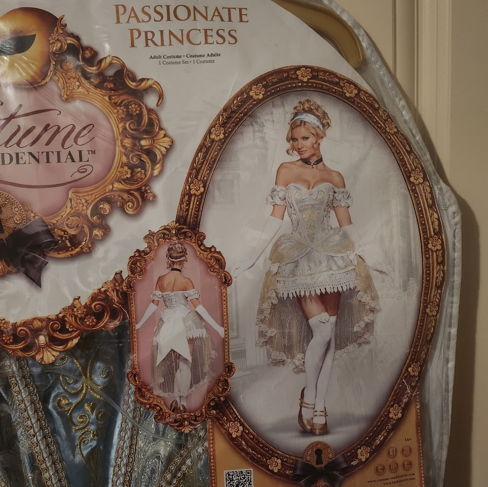 Cinderella Adult Costume XS